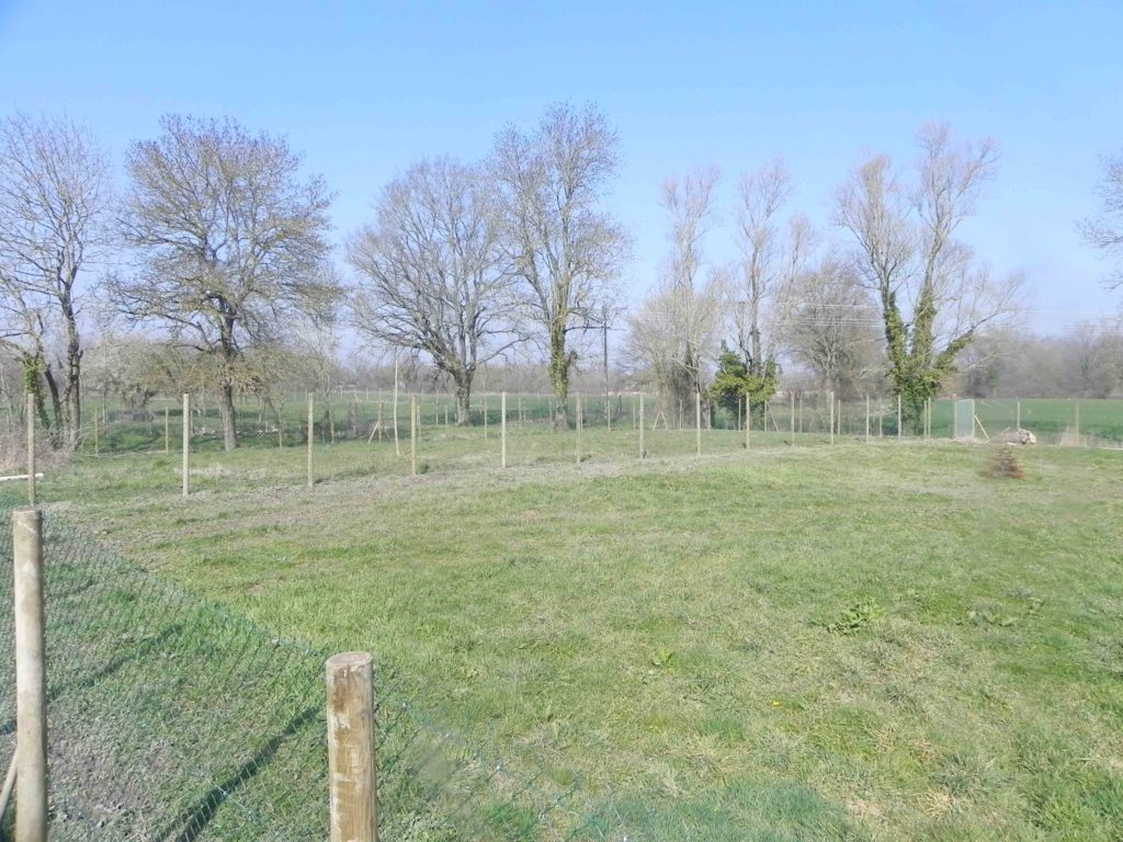 Terre d'Azade - Pension pour chiens et chats à Sandrans